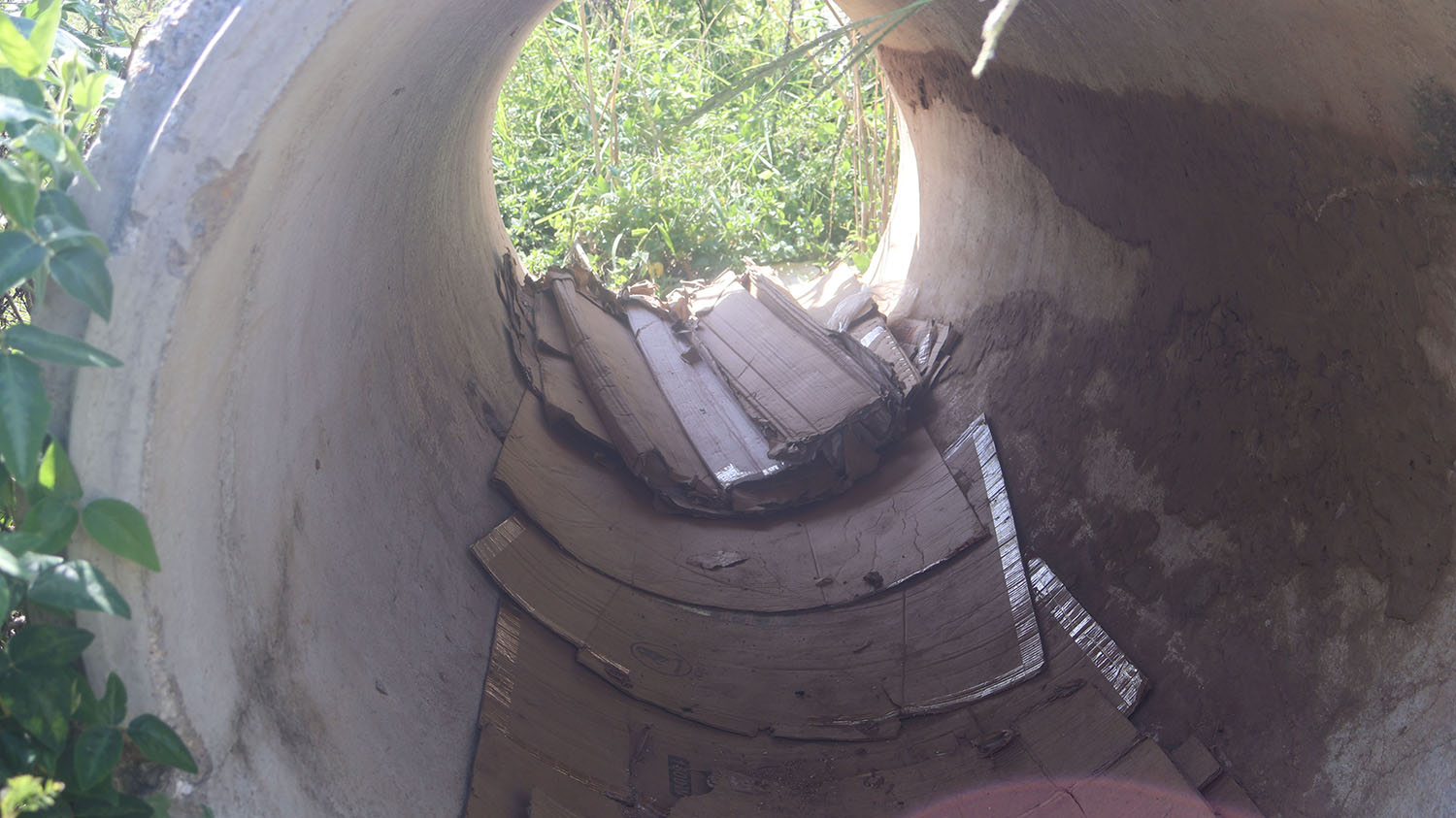 Another one sleep metres away from underneath the building, inside a stormwater pipe with cardboards serving as his ‘bed.